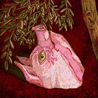 Image Cover