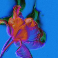 Image Cover