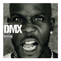 The Best Of DMX 사진