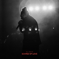 Image Cover