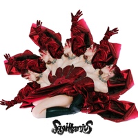 Image Cover