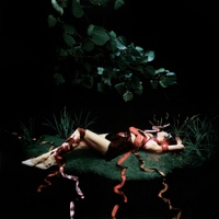 Image Cover