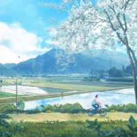 Image Cover