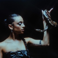 Image Cover