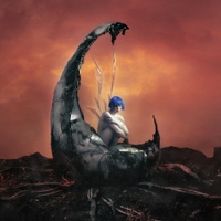 Image Cover