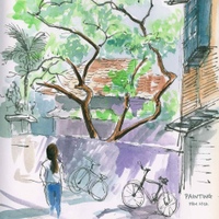 Image Cover