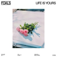 Image Cover