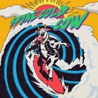 Image Cover