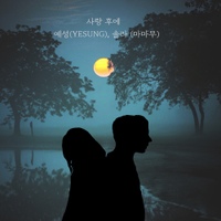 Image Cover