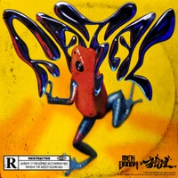 Image Cover