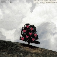 Image Cover