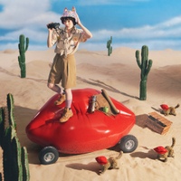 Image Cover