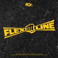 FLEX LINE 사진