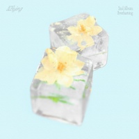 Image Cover
