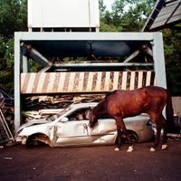 Image Cover