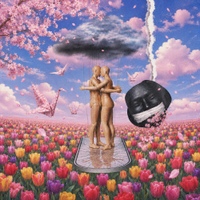 Image Cover