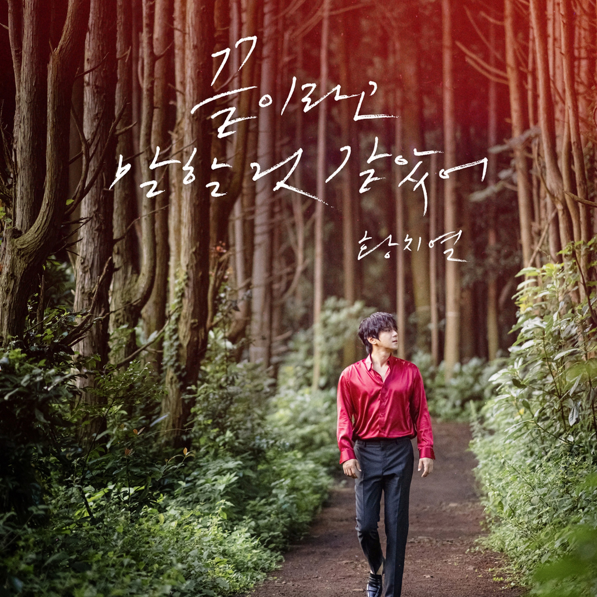 끝이라고 말할 것 같았어 앨범 커버