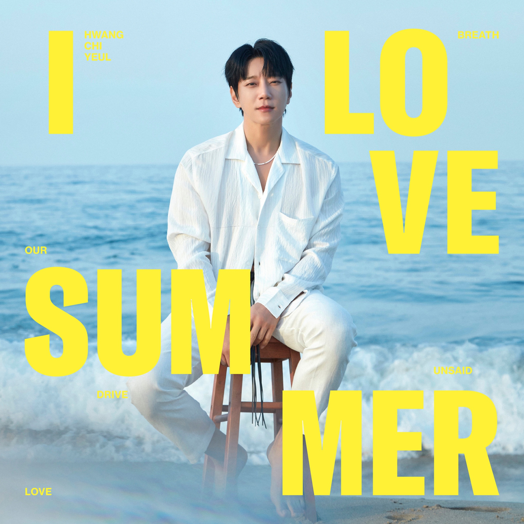 I LOVE SUMMER cover