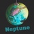 Neptune 대표이미지