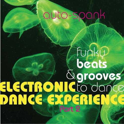Electronic Dance Experience, Pt. 2 (Funky Beats & Grooves to Dance) 벅스