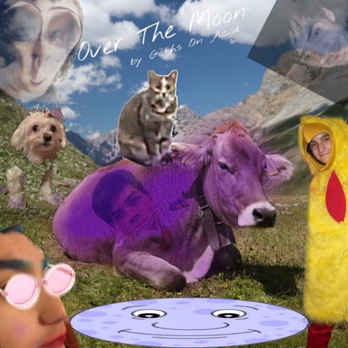 Over the Moon/Goths On Acid - 벅스 Over the Moon / Goths On Acid
