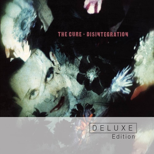 Noheart (Band Instrumental Rehearsal)/The Cure(더 큐어) - 벅스 Noheart (Band Instrumental Rehearsal) / The Cure(더 큐어)