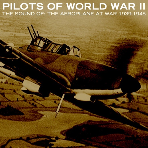 The Sound Of: The Aeroplane At War 1939-1945 - 벅스 The Sound Of: The Aeroplane At War 1939-1945 / Pilots Of World War II
