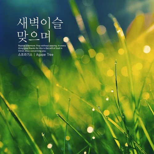 새벽이슬 맞으며/스프라기스 - 벅스 새벽이슬 맞으며 / 스프라기스