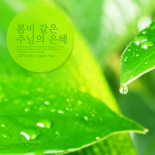 봄비 같은 주님의 은혜 - 벅스 봄비 같은 주님의 은혜 / 소망의 날개