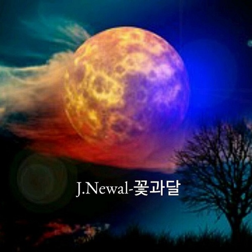 꽃과 달 - 벅스 꽃과 달 / 제이뉴얼(J.Newal)