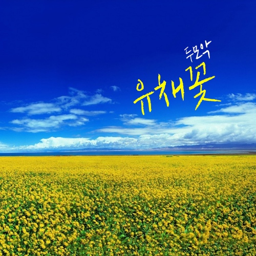 유채꽃 - 벅스 유채꽃 / 두모악
