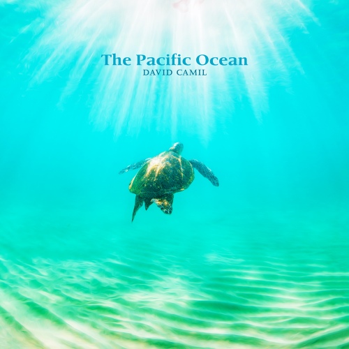 Above The Yacht/David Camil - 벅스 Above The Yacht / David Camil