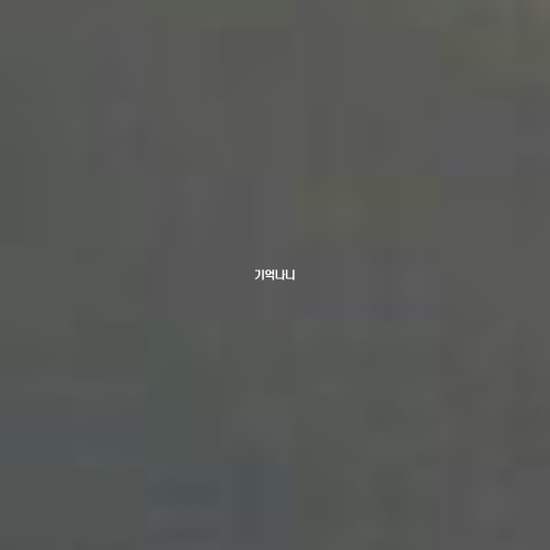 기억나니
