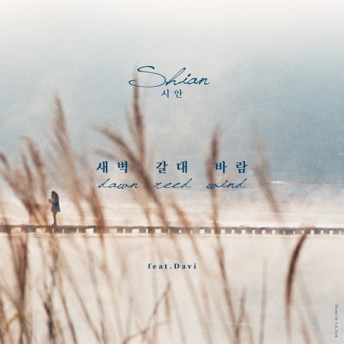 새벽 갈대 바람 - 벅스 새벽 갈대 바람 / 시안(SHIAN)