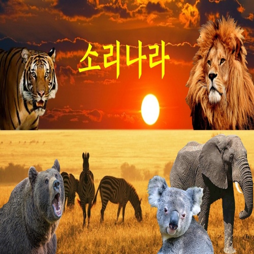 호랑이/Unknown - 벅스 호랑이 / Unknown