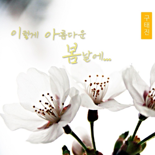이렇게 아름다운 봄날에/구태진 - 벅스 이렇게 아름다운 봄날에 / 구태진