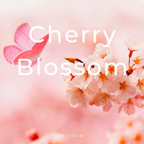 Cherry Blossom (Piano & Guitar)/메이레인(Mayrain) - 벅스 Cherry Blossom (Piano & Guitar) / 메이레인(Mayrain)