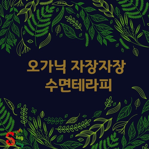 오가닉 자장자장 수면테라피 - 벅스 오가닉 자장자장 수면테라피 / 씽씽송(SingSingSong)