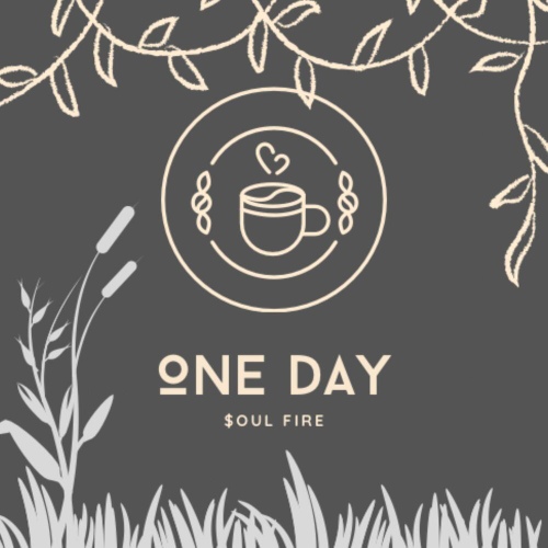 OneDay - 벅스 OneDay / $oul Fire