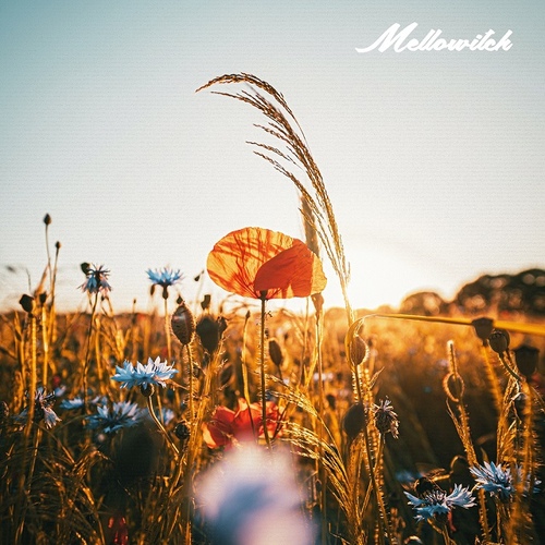 You Are My Sunshine - 벅스 You Are My Sunshine / 멜로위치(Mellowitch)