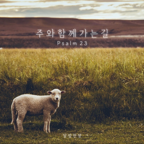 주와 함께 가는 길 (시편 23편) - 벅스 주와 함께 가는 길 (시편 23편) / 달밤찬양