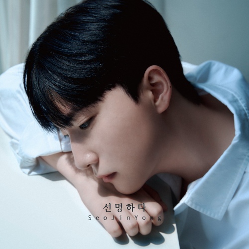 선명하다/서진용 - 벅스 선명하다 / 서진용