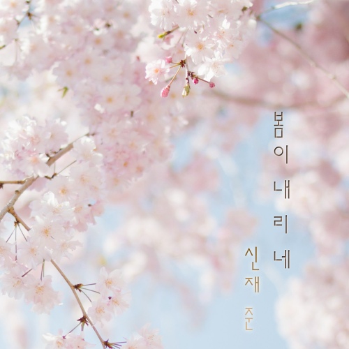 봄이 내리네 - 벅스 봄이 내리네 / 신재준