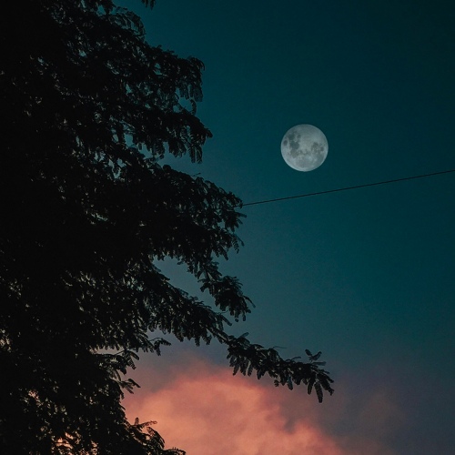 로즈뱅크 30년 릴리즈 1