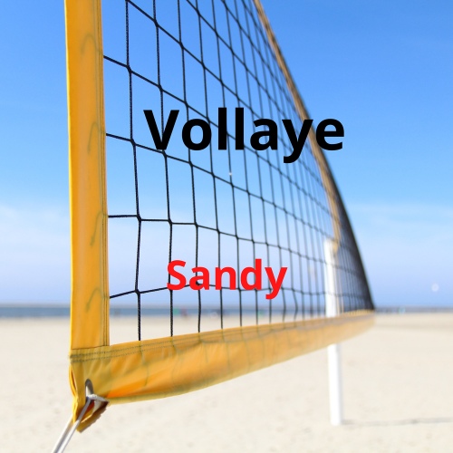 Comptabilite/Sandy(샌디) - 벅스 Comptabilite / Sandy(샌디)
