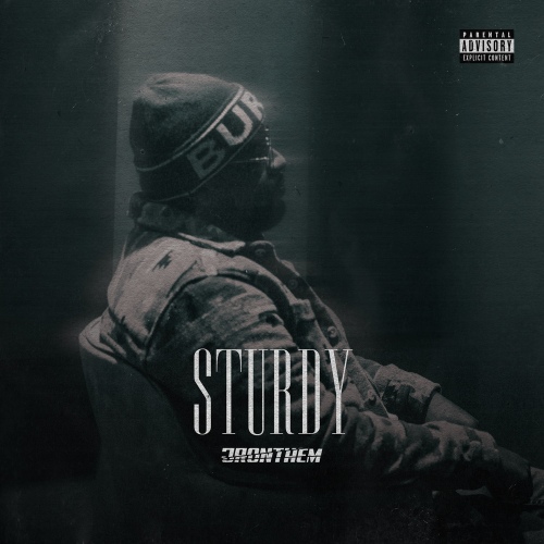 STURDY - 벅스 STURDY / JRONTHEM