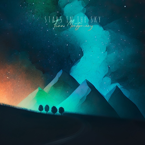 Stars In The Sky - 벅스 Stars In The Sky / Finn Montgomery
