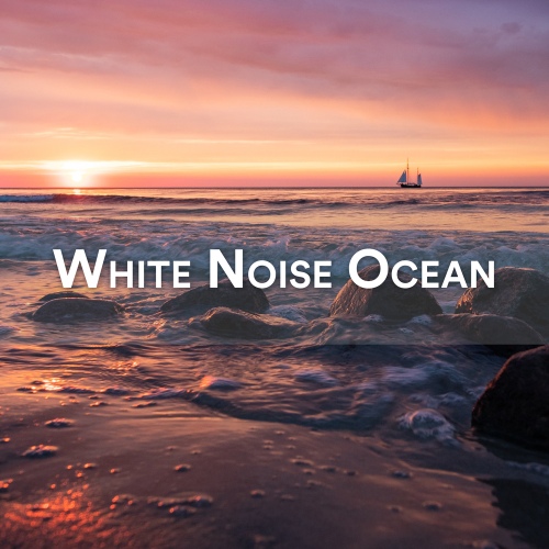 White Noise Ocean - 벅스