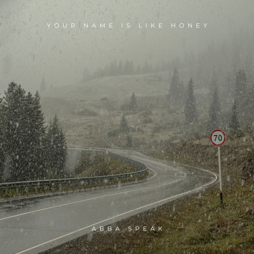 Your Name is Like Honey 벅스