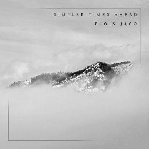 simpler times ahead 벅스